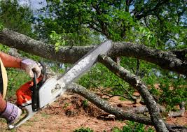 Soil Testing and Treatment in Watts Mills, SC